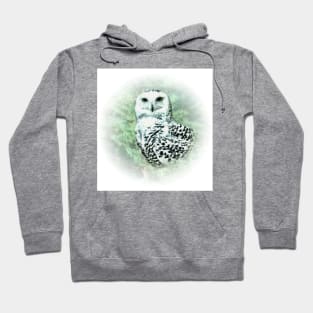 Snowy owl Hoodie